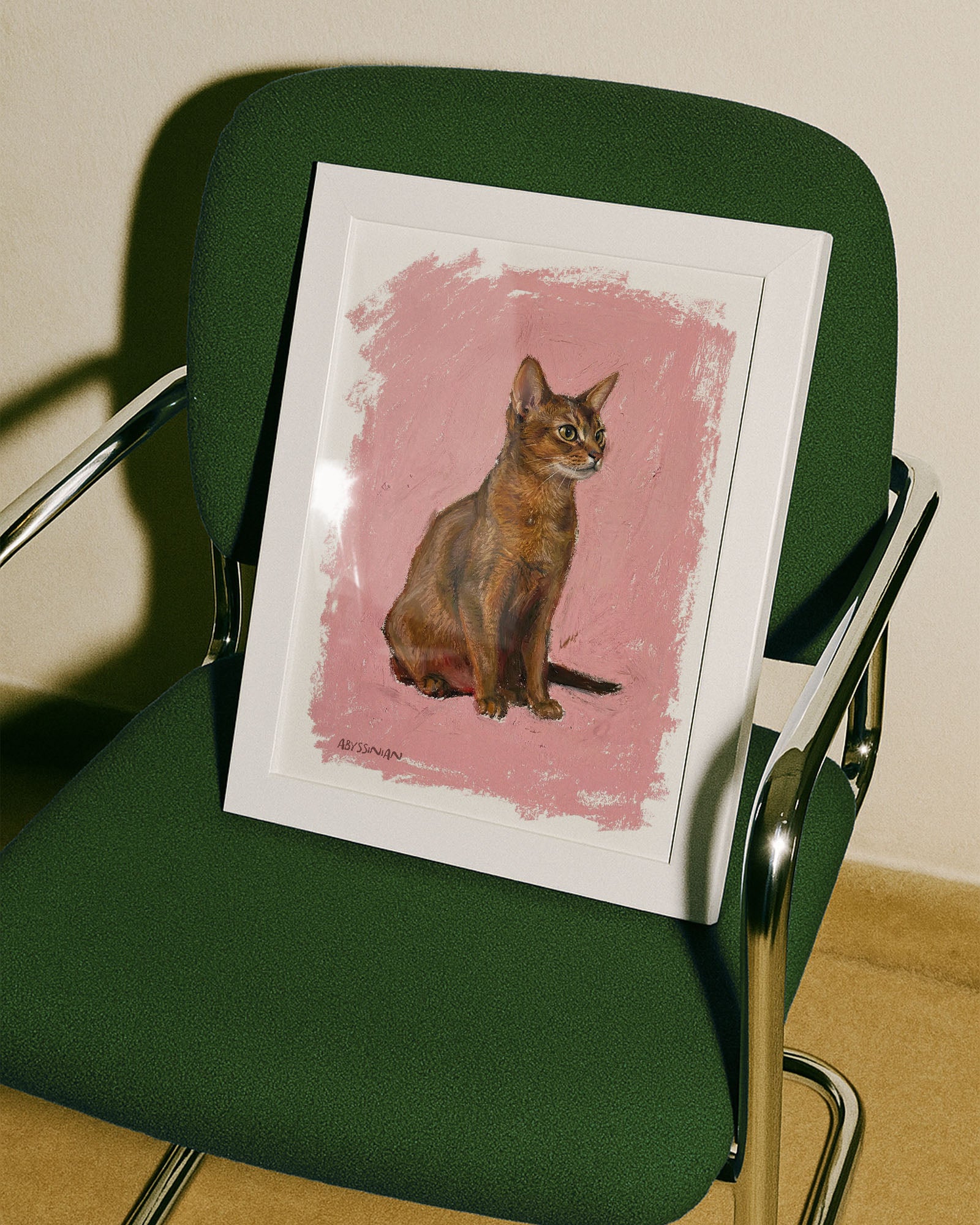 Abyssinian