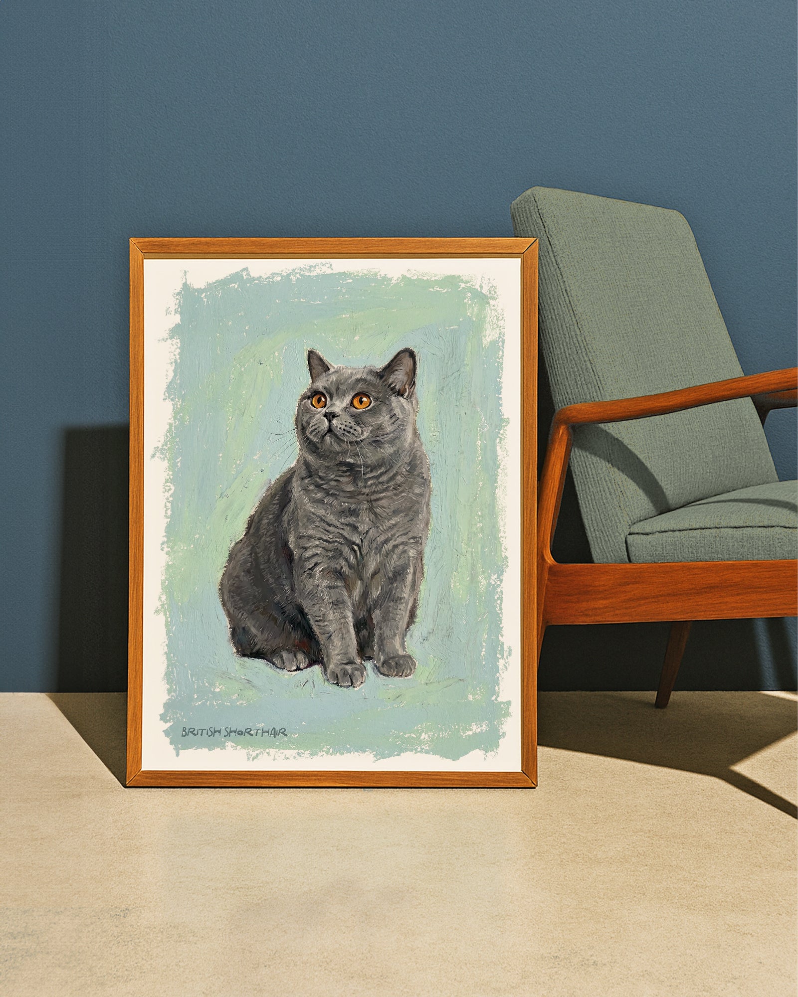 British Shorthair